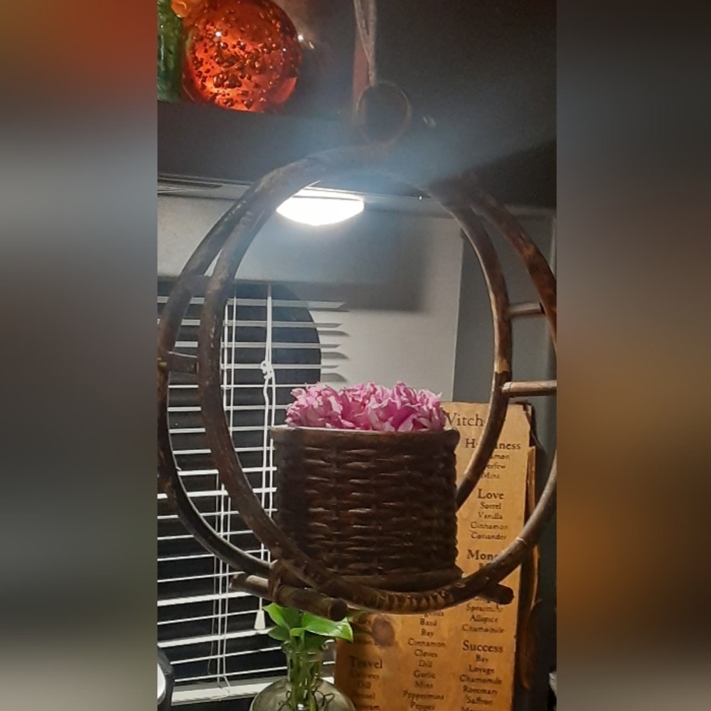 Vintage/Mid Century/Retro Plant Hanger